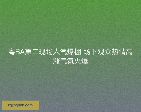 粤BA第二现场人气爆棚 场下观众热情高涨气氛火爆